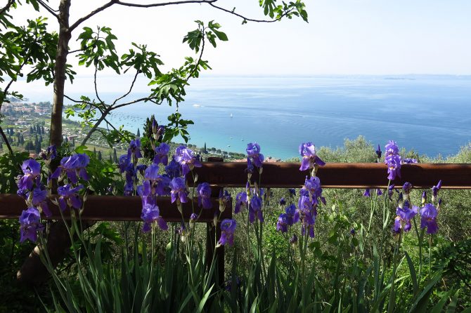 Lake Garda panorama